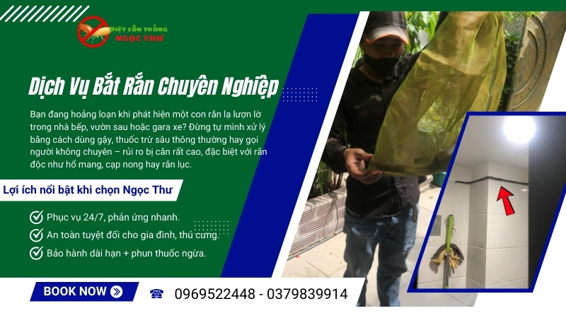 Dịch vụ bắt rắn chuyên nghiệp