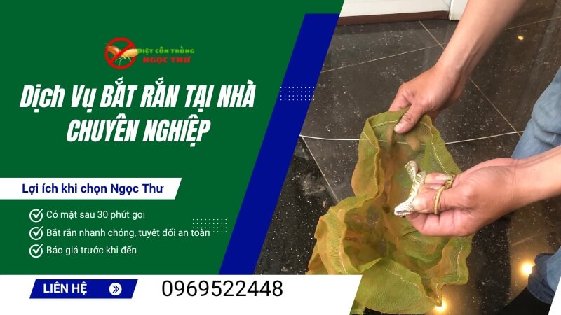 Dịch vụ bắt rắn tại nhà