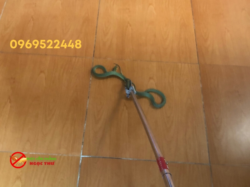 Rắn được kẹp giữ an toàn