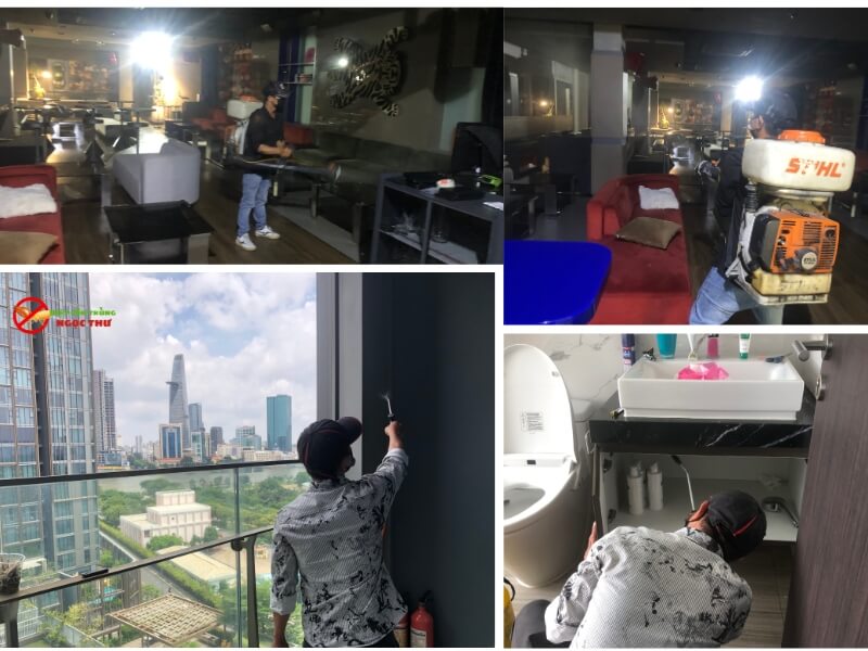 Dịch vụ diệt gián tận gốc Ngọc Thư, bảo hành 3-6 tháng