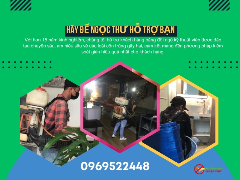 Dịch vụ diệt gián tận gốc Ngọc Thư
