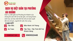 Dịch vụ diệt gián tại phường An Khánh, TPHCM