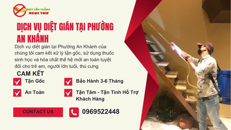 Dịch vụ diệt gián tại phường An Khánh, TPHCM