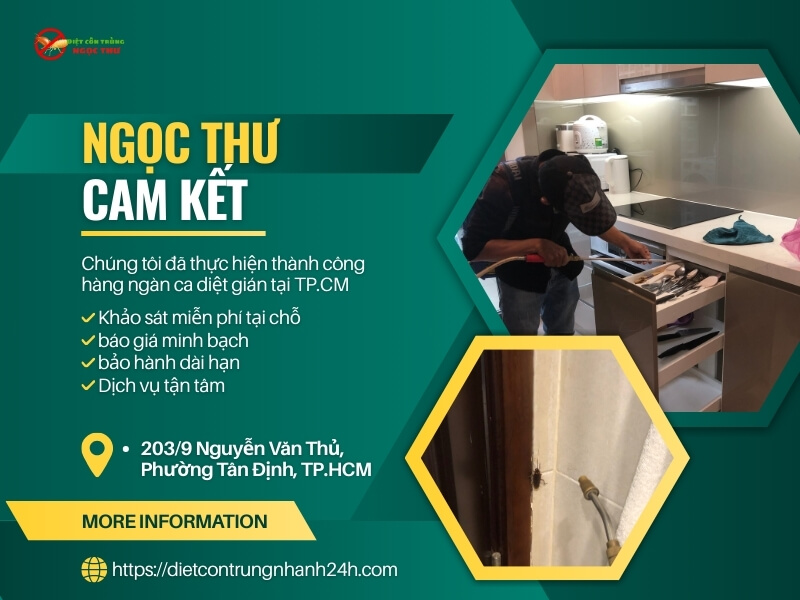 Dịch vụ diệt gián tận gốc Ngọc Thư với giá cả minh bạch, dịch vụ tận tâm