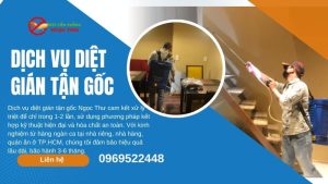 Dịch vụ diệt gián tận gốc Ngọc Thư