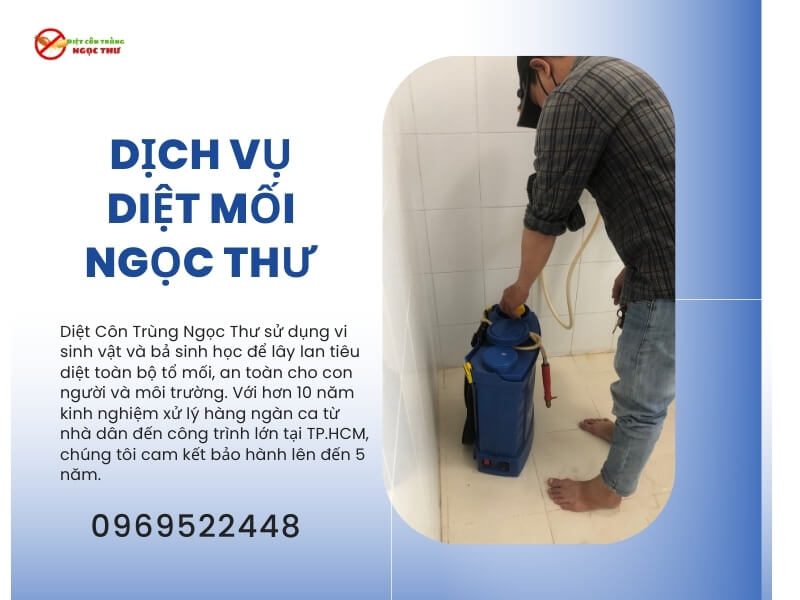 Kinh nghiệp diệt mối tận gốc chuyên nghiệp của Ngọc Thư