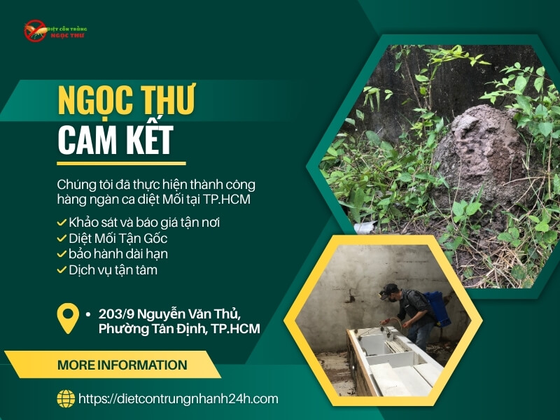 Cam kết diệt mối tận gốc tại Ngọc Thư