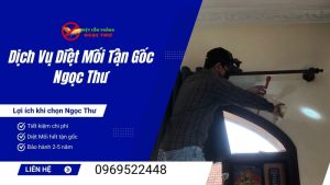 Dịch vụ diệt mối tận gốc Ngọc Thư
