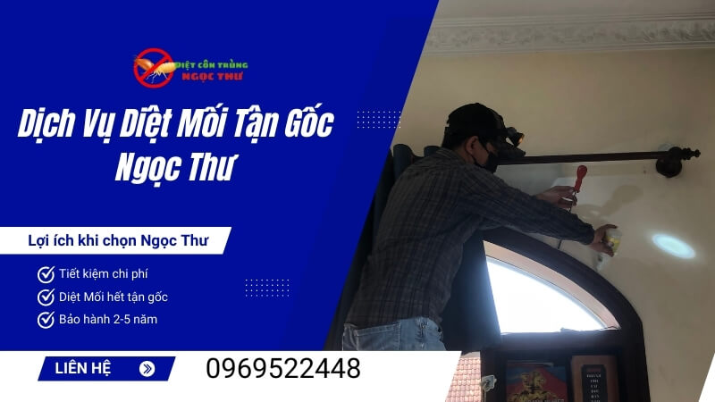 Dịch vụ diệt mối tận gốc Ngọc Thư