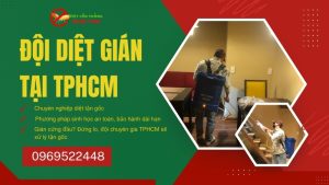 Đội diệt gián tại TPHCM Ngọc Thư