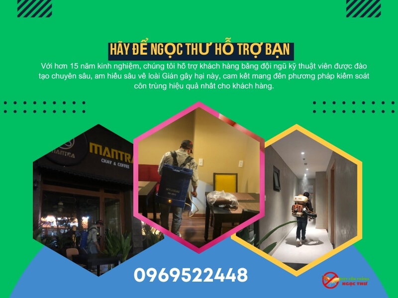 Đội diệt gián tại TPHCM Ngọc Thư