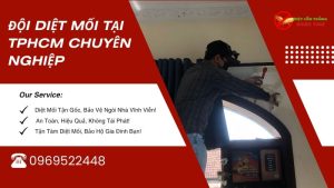 Đội diệt mối tại TPHCM chuyên nghiệp Ngọc Thư