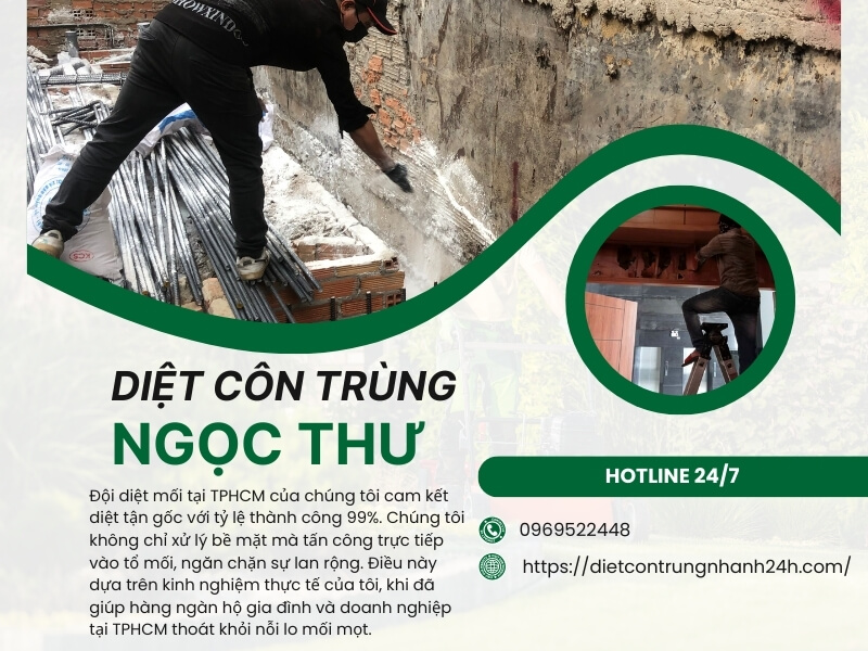 Đội diệt mối chuyên nghiệp của diệt côn trùng Ngọc Thư