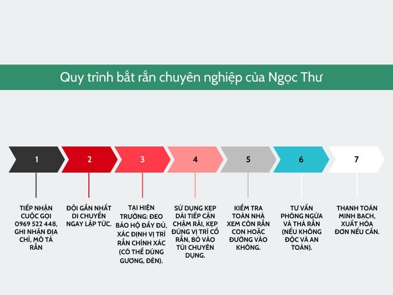 Quy trình dịch vụ bắt rắn của Ngọc Thư