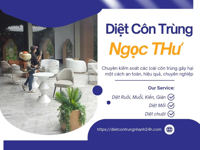 Dịch vụ diệt côn trùng Ngọc Thư