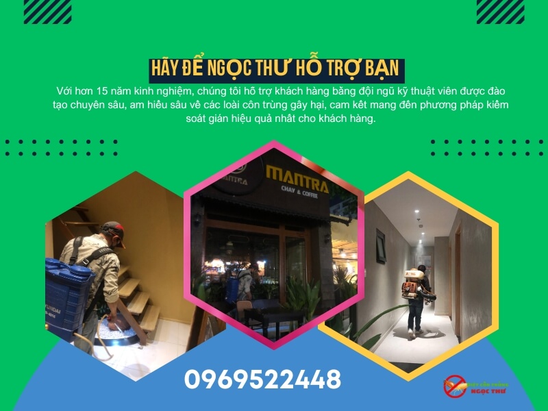 Phương Pháp Kiểm Soát Và Phòng Ngừa Gián Trong Nhà 2 Dịch vụ kiểm soát gián chuyên nghiệp, Ngọc Thư