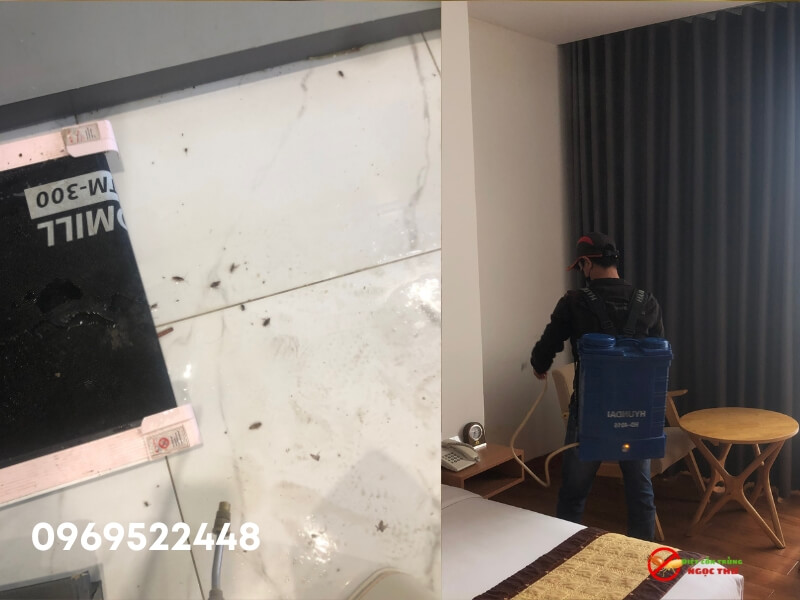 Phương Pháp Kiểm Soát Và Phòng Ngừa Gián Trong Nhà 3 Diệt gián cho căn hộ chung cư tại quận 7, TPHCM