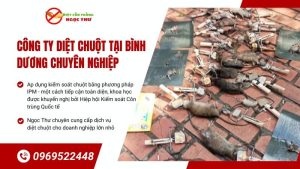Công ty diệt chuột tại Bình Dương chuyên nghiệp