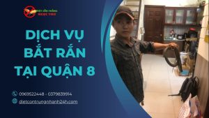 Dịch vụ bắt rắn tại quận 8 - Ngọc Thư