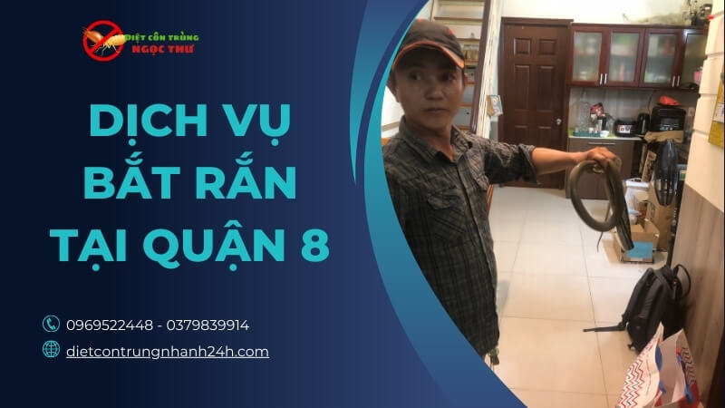 Dịch vụ bắt rắn tại quận 8 - Ngọc Thư