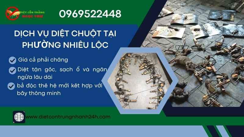 Dịch vụ diệt chuột tại phường Nhiêu Lộc chuyên nghiệp Ngọc Thư