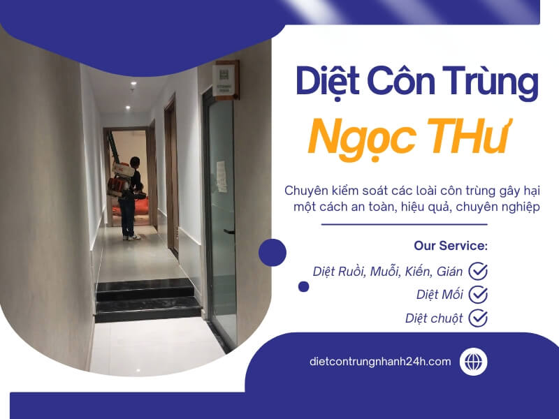 Dịch vụ diệt côn trùng tại Phú Nhuận chuyên nghiệp, uy tín 