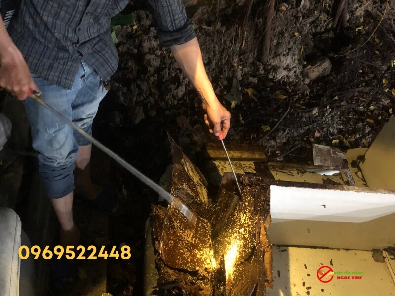 Công ty dịch vụ diệt côn trùng tại Phú Nhuận chuyên nghiệp, uy tín Ngọc Thư