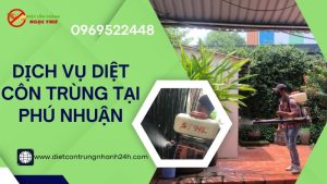 Dịch vụ diệt côn trùng tại Phú Nhuận - Ngọc Thư