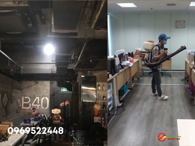 Dịch Vụ Diệt Gián Tại Phường Nhiêu Lộc: Diệt Tận Gốc, Sạch Ổ, Ngăn Ngừa Quay Lại 2 Dịch vụ diệt gián tại phường Nhiêu Lộc, TPHCM - Ngọc Thư