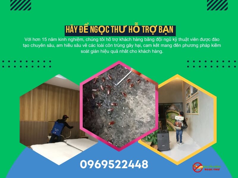 Dịch Vụ Diệt Gián Tại Phường Nhiêu Lộc: Diệt Tận Gốc, Sạch Ổ, Ngăn Ngừa Quay Lại 3 Dịch vụ diệt gián tại phường Nhiêu Lộc, TPHCM - Uy tín, diệt tận gốc