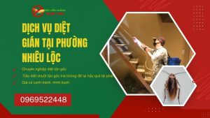 Dịch vụ diệt gián tại phường Nhiêu Lộc, TPHCM chuyên nghiệp