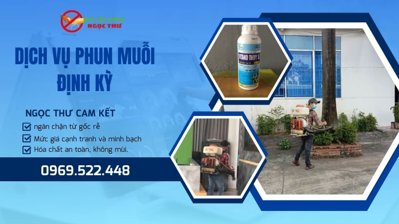 Dịch vụ phun muỗi định kỳ chuyên nghiệp Ngọc Thư