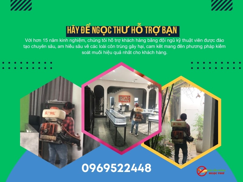 Dịch Vụ Phun Muỗi Tại Dĩ An Tận Tâm – Bảo Vệ Gia Đình Khỏi Sốt Xuất Huyết 2 Dịch vụ phun muỗi tại Dĩ An chuyên nghiệp Ngọc Thư