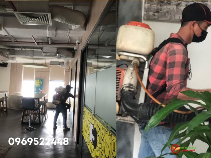 Dịch Vụ Phun Muỗi Tại Dĩ An Tận Tâm – Bảo Vệ Gia Đình Khỏi Sốt Xuất Huyết 3 Dịch vụ phun muỗi tại Dĩ An chuyên nghiệp, xử dụng thuốc sinh học an toàn