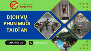 Dịch vụ phun muỗi tại Dĩ An chuyên nghiệp