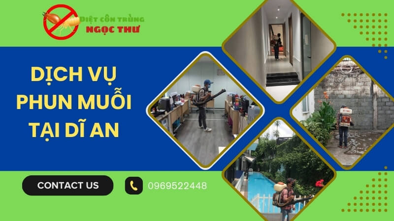 Dịch Vụ Phun Muỗi Tại Dĩ An Tận Tâm – Bảo Vệ Gia Đình Khỏi Sốt Xuất Huyết 1 Dịch vụ phun muỗi tại Dĩ An chuyên nghiệp