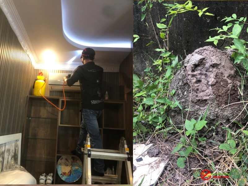 giá dịch vụ diệt mối tận gốc tại nhà Ngọc Thư