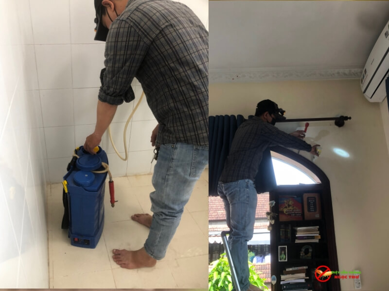 Dịch vụ diệt mối tận gốc tại nhà của Ngọc Thư với giá cả phải chăng