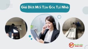 giá dịch vụ diệt mối tận gốc tại nhà