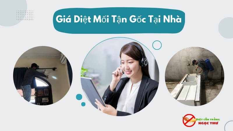 giá dịch vụ diệt mối tận gốc tại nhà