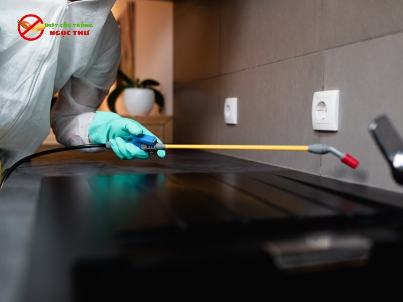 IPM là phương pháp tối ưu chi phí nhất cho doanh nghiệp