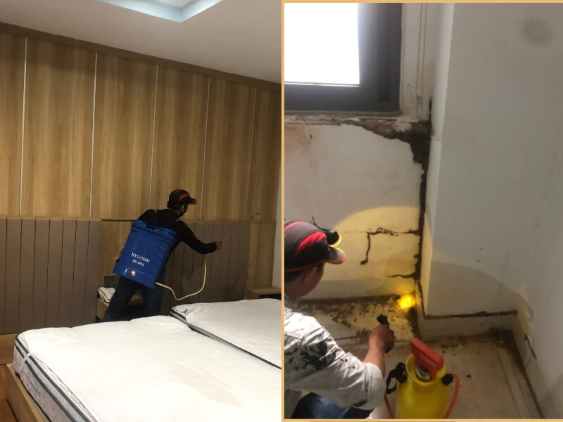 Chi Phí Diệt Mối Tại Công Ty Ngọc Thư: Giải Pháp Tận Gốc, Minh Bạch Và Tiết Kiệm Nhất 2026 2 Chi phí diệt mối tận gốc tại công ty Ngọc Thư