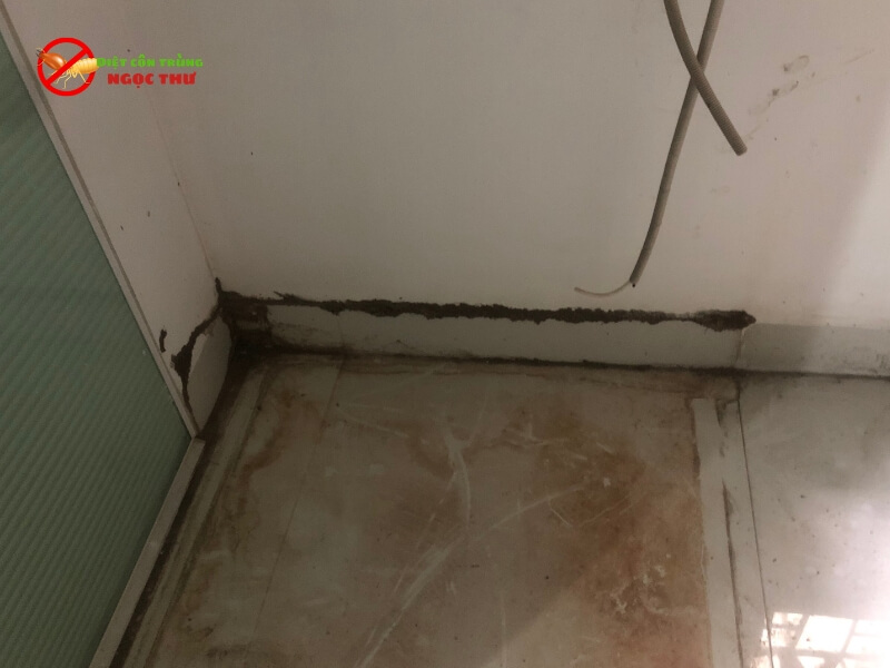 Chi Phí Diệt Mối Tại Công Ty Ngọc Thư: Giải Pháp Tận Gốc, Minh Bạch Và Tiết Kiệm Nhất 2026 3 Chi phí diệt mối chuyên nghiệp tận gốc tại công ty Ngọc Thư