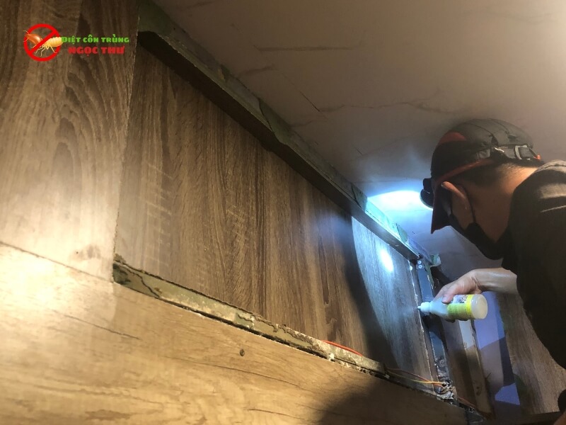 Chi Phí Diệt Mối Tại Công Ty Ngọc Thư: Giải Pháp Tận Gốc, Minh Bạch Và Tiết Kiệm Nhất 2026 4 Diệt mối tận gốc bằng thuốc sinh học lây nhiễm