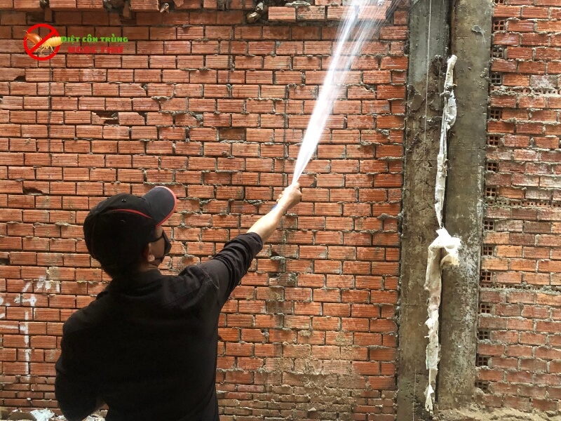 Dịch Vụ Chống Mối Nền Móng Uy Tín – Bảo Vệ Ngôi Nhà Từ "Gốc" 4 Phun thuốc phòng chống mối chuyên dụng, an toàn, không mùi