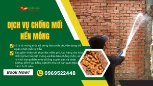 Dịch vụ chống mối nền móng uy tín của Ngọc Thư