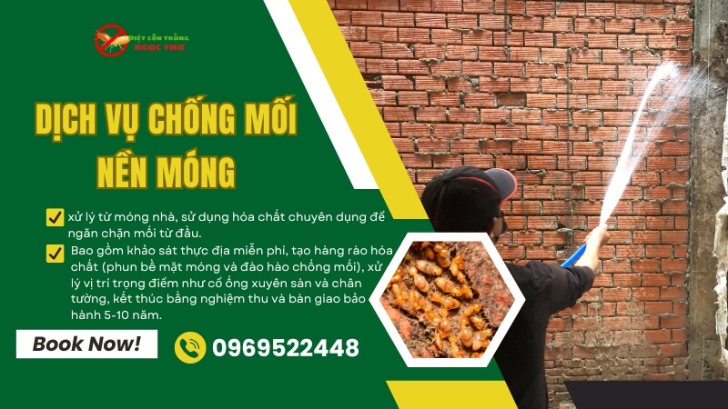 Dịch Vụ Chống Mối Nền Móng Uy Tín – Bảo Vệ Ngôi Nhà Từ "Gốc" 1 Dịch vụ chống mối nền móng uy tín của Ngọc Thư