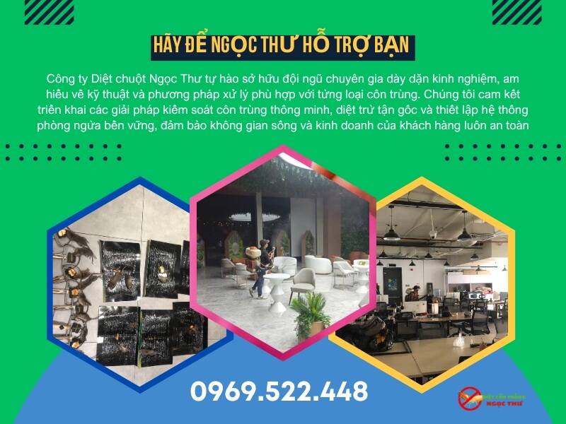 Dịch Vụ Diệt Côn Trùng Quận 5 Chuyên Nghiệp 2 Dịch vụ diệt côn trùng Ngọc Thư
