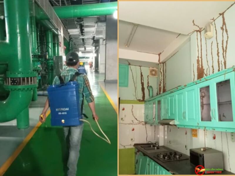 Dịch Vụ Diệt Côn Trùng Quận 5 Chuyên Nghiệp 4 Dịch vụ diệt côn trùng Ngọc Thư chuyên nghiệp, an toàn cho gia đình