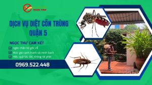 Dịch vụ diệt côn trùng tại quận 5 chuyên nghiệp - Ngọc Thư